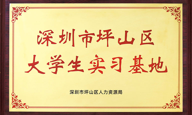 深圳清力技术有限公司挂牌坪山区大学生实习基地